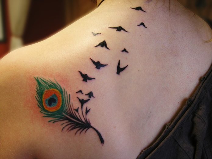 belles idées tatouages plumes maat