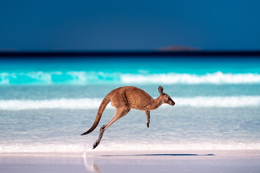6 choses à ne pas oublier avant de voyager en Australie