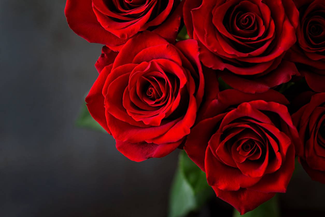 bouquet fleurs rose rouge